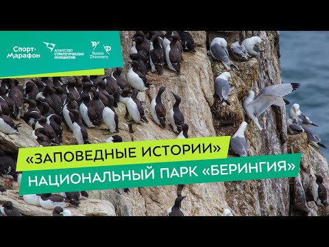 Видео: Региональный парк Галена-Крик: полное руководство