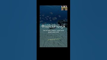 استغفر الله العظيم وأتوب إليه #تلاوات #قران_كريم #تلاوة_هادئة #قرآن #تلاوةخاشعة