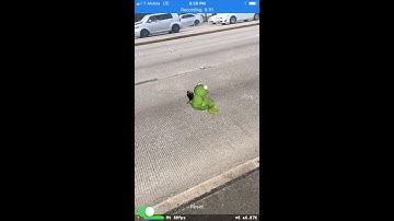 Frogger Using ARKit