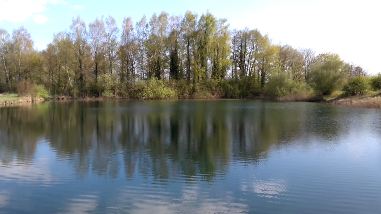 Mini Baggersee hinter dem Fischparadies (RheinauDiersheim) YouTube