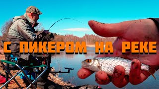 видео: КАК ИЗБАВИТЬСЯ ОТ УКЛЕЙКИ? СЕКРЕТЫ ловли НА ПИКЕР. В УЛОВЕ ТОЛЬКО ПЛОТВА. картинка: КАК ИЗБАВИТЬСЯ ОТ УКЛЕЙКИ? СЕКРЕТЫ ловли НА ПИКЕР. В УЛОВЕ ТОЛЬКО ПЛОТВА.
