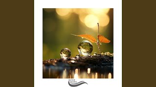 Whispers of Serene Harmony in Harmonic Echoes