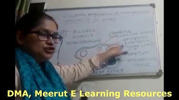 Sexual Rep. in Flowering Plants (Part II)|Bio XII|Ms. Poonam Attrish|DMA Meerut E Learning Resources