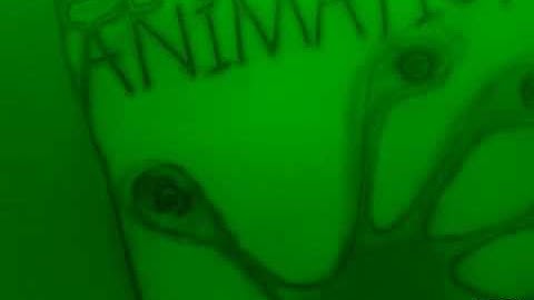 Spectra Animation in Killed Map