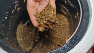 Smart Indoor Composting: Lomi 1 Kitchen Composter