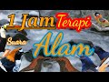 Merdu Kicau Terapi Alam Suara Air Dan Burung Mp3 - Mp4 Download