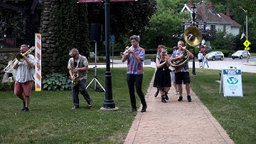 Concerts on the Common: Catnip Junkies