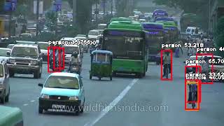 Famous Video Custom Object Detection, Faster Mode and 1-Frame Detection Interval Profile