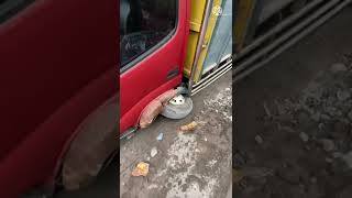 Download Lagu Dina glogor kenong kesleo MP3