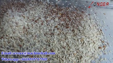 Almond Slice Cutting Machine/ Dry Fruit Slicing Machine/ Badam Pista Slicer