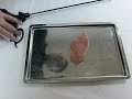 Laparoscope Bipolar Forceps Working Effect