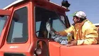 Stock Auction Company - BigIron Auctions