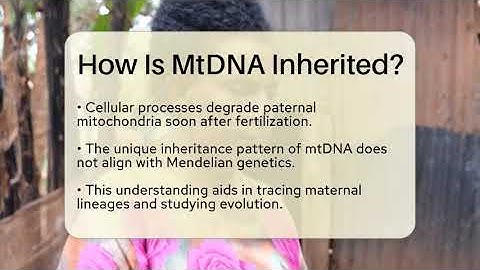 How Is MtDNA Inherited? - Science Through Time