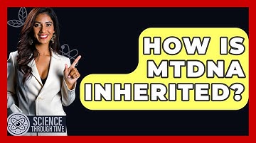 How Is MtDNA Inherited? - Science Through Time