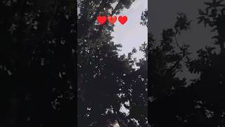 tor bayshak masse biha re | new purulia song #shorts #shortvideo #purulia #bangali