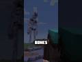 NEVER break your bones in Minecraft..