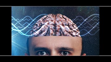 The Basics of Metaphysics: Understanding Reality