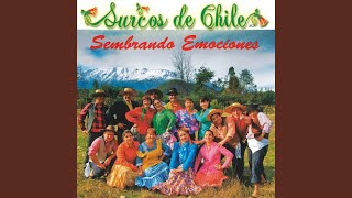 Video thumbnail of "Surcos de Chile - Amándote"