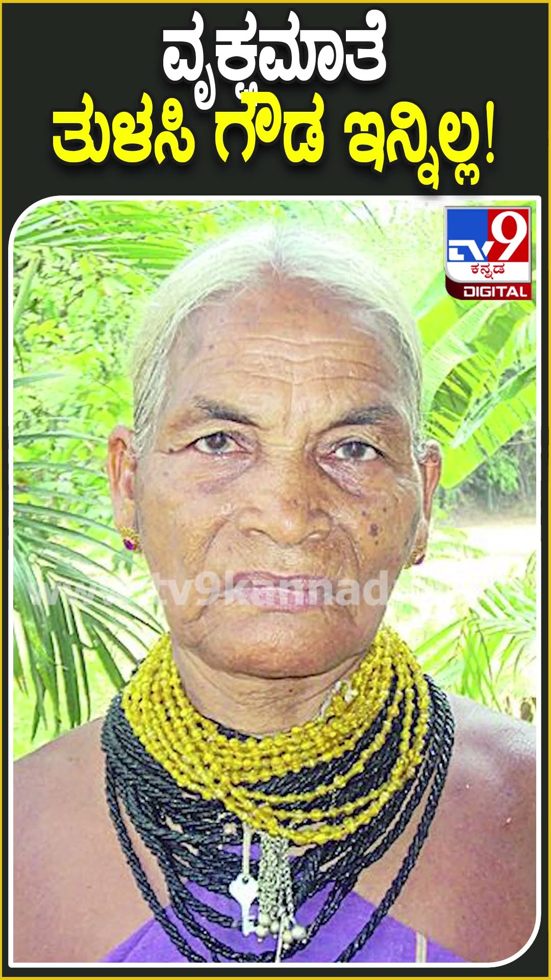 ವೃಕ್ಷಮಾತೆ ತುಳಸಿ ಗೌಡ ಇನ್ನಿಲ್ಲ! #TulsiGowda #Tv9D