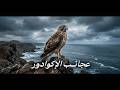 عجائب الإكوادور رحلة في أعماق الطبيعة المتوحشة أسرار وعجائب القص ة كاملة وثائقي