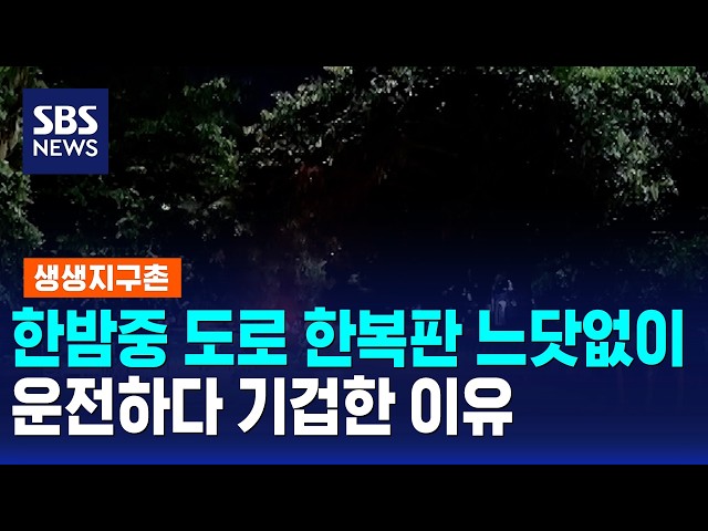 한밤중 도로 한복판에 느닷없이..운전하다 기겁한 이유 / 생생지구촌 / SBS 모닝와이드 2부