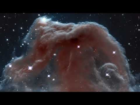 THE CALL OF THE COSMOS - Illustra Media - Official Trailer