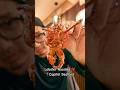 The BEST Chinese Lobster Noodles in Vegas at Capital Seafood 🦞