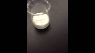 AP Biology Lab #2: Enzyme Catalysis