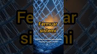 Kuşlar -50Cde Donmazken Biz Rüzgarda Hasta Oluyoruz İşte Doğanın Bu Süper Gücünün Sırları Şfet