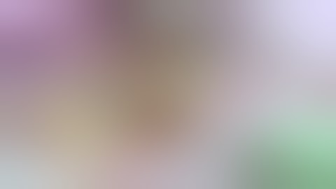 Ovariohysterectomy due to closed pyometra in cat.wmv