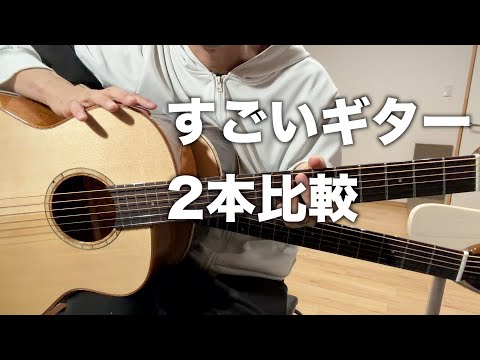 【aNueNue】コスパ最高な上位版LF230とLF280Eを比較レビュー！初心者向けギター