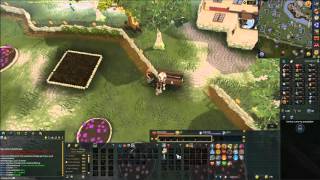 Runescape - Recruitment Drive Quest Guide