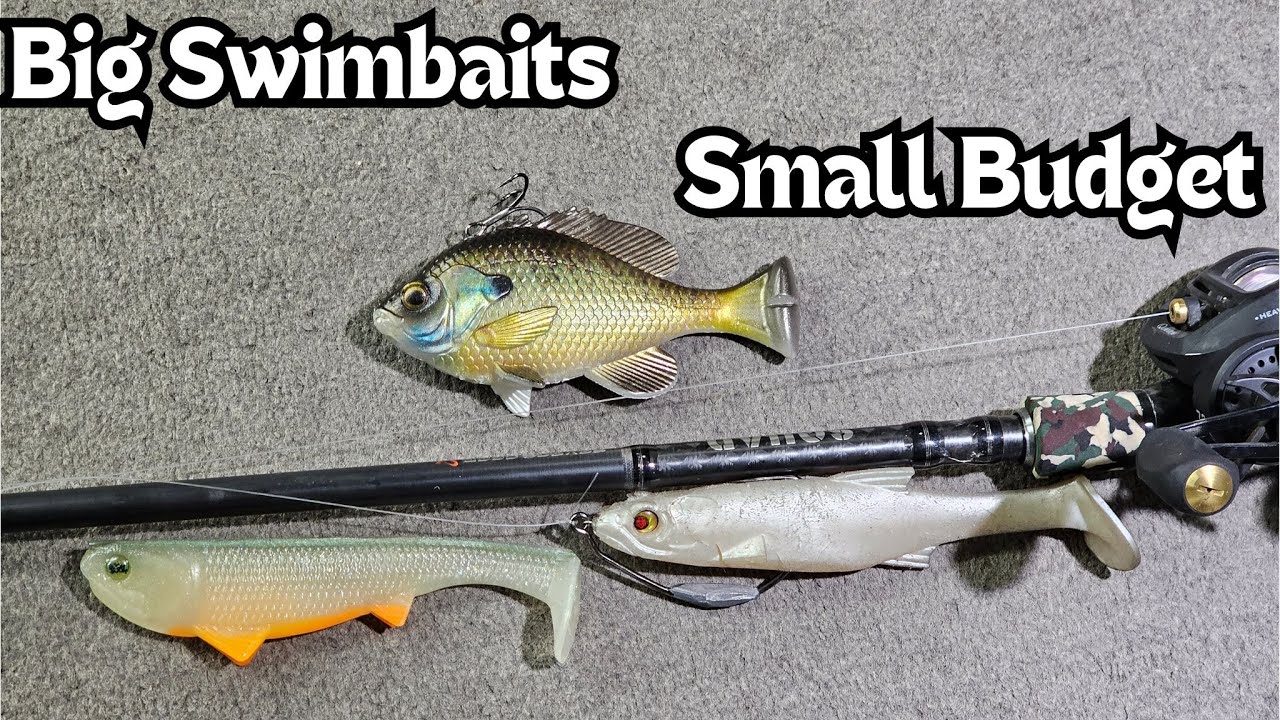 Big Swimbaits With A Low Budget – ARO Outdoors