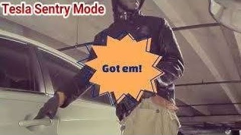 Tesla Sentry Mode deterred thieves