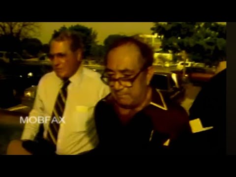 The Montreal Mafia Miami Quaalude Connection 1983