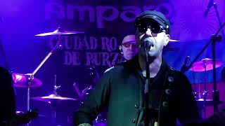 Homenaje a Willy Quiroga “Dr. Jekyll Mr. Hyde” + “Total Qué” (En Vivo | El Amparo Bar 2025)
