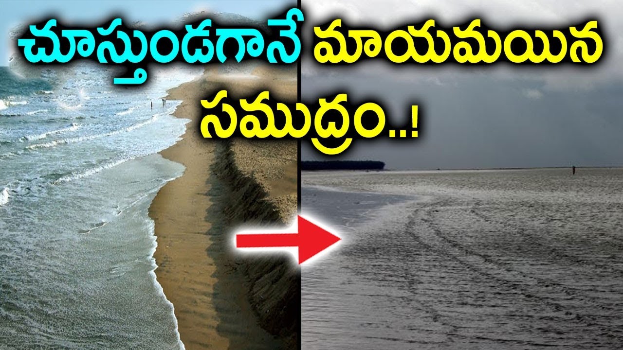 చూస్తుండగానే మాయమయిన సముద్రం.. ఎక్కడో తెలుసా..? | Chandipur Sea beach, Orissa. Hide & Seek Sea beach