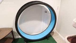 One Fast Cat Exercise Wheel Unboxing And Assembly