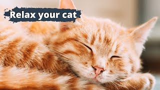 Music For Cats To Relax by Love For Animals 36 views 1 year ago 1 hour, 2 minutes