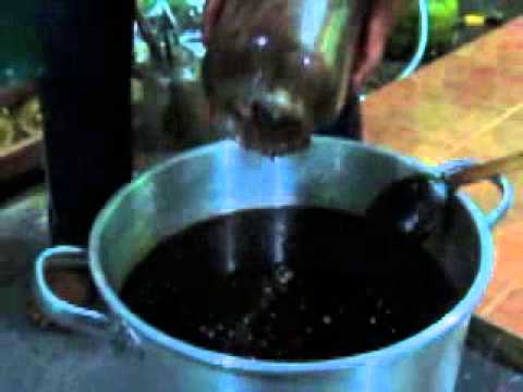 Cara membuat minyak lintah - YouTube