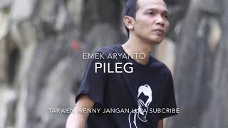 EMEK ARYANTO PILEG