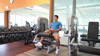 Famous Seated Hamstring Curl Single Leg Eccentric | Machine | Strength and Conditioning Exercises Wealth