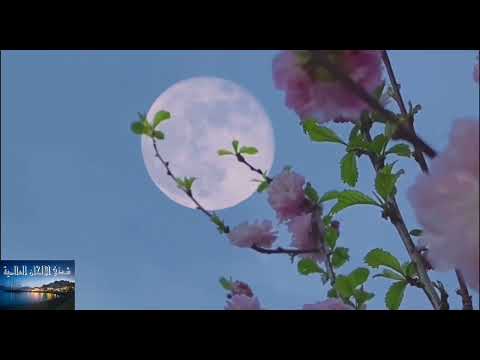 نشيد تجلى كبدر قد أفاض بنوره في مدح النبي محمد صلى الله عليه وسلم