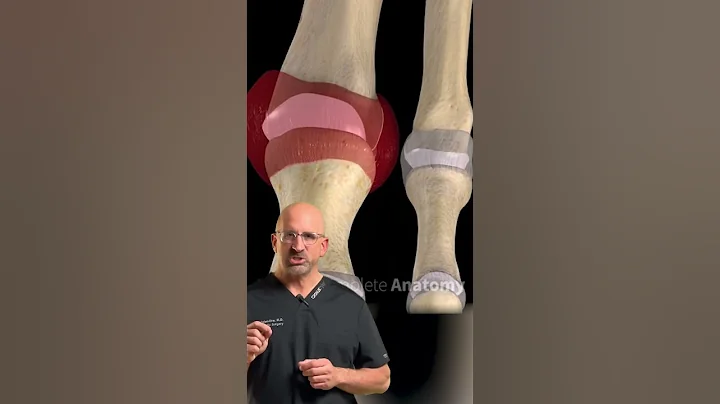gOUT can take you OUT #shorts - DayDayNews