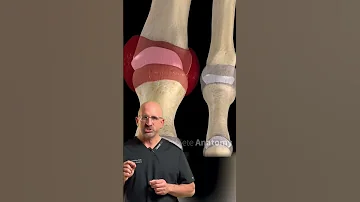 GOUT Can Take You OUT Shorts 