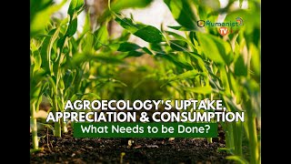 Agroecologys Uptake Appreciation And Consumption - What Needs To Be Done?