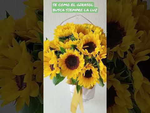 La luz y