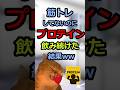 【猫ミーム】運動せずにプロテイン飲んだ結果　#猫ミーム #catmemes #猫 #cat #memes #meme #2ch #2ちゃんねる