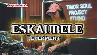 [ESKAUBELE]COVER TIMOR SOUL PROJECT]MUSIK TIMOR SOUL PROJECT]