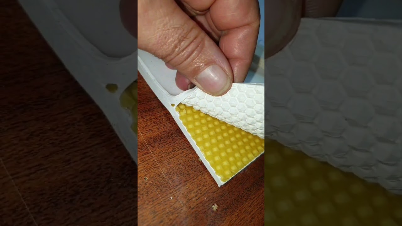 Apicultura Prensa Moldar Cera